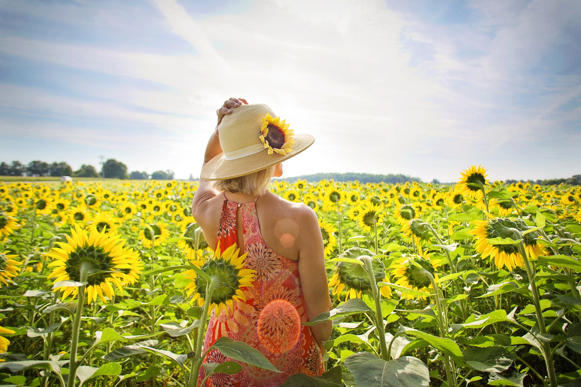 //mariozuvela.com/wp-content/uploads/2021/06/sunflowers-3640935_1920.jpg